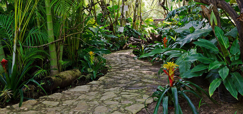 Jardín Botanico